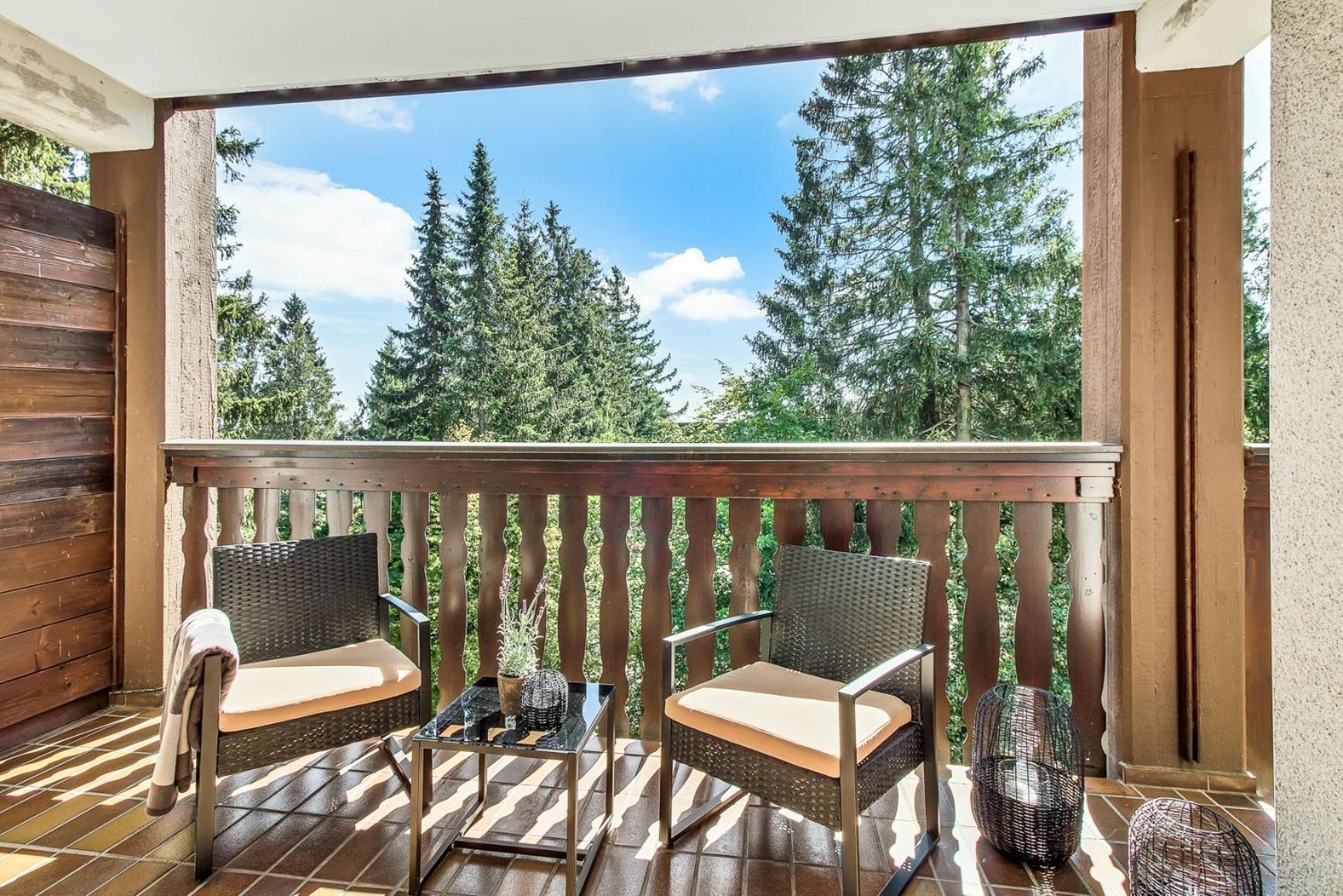 2 Bedroom Apartment Tokio And Sauna, 100M To Ski And Bikepark Winterberg Exterior photo